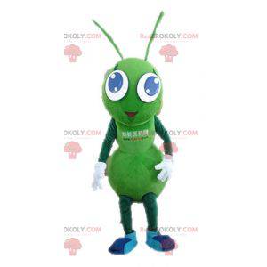 Reusachtige groene mierenmascotte. Mascotte groen insect -